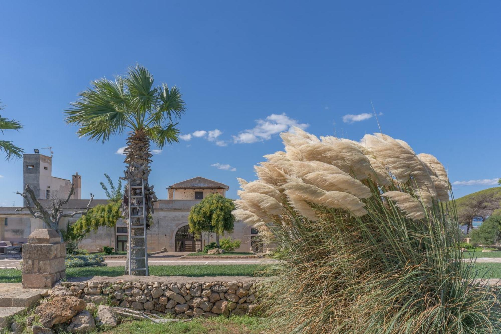 Masseria Casina Bellanova Порто Чезарео Екстериор снимка